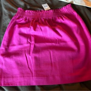 J. Crew Factory Pink Elastic Waist Skirt - size 6